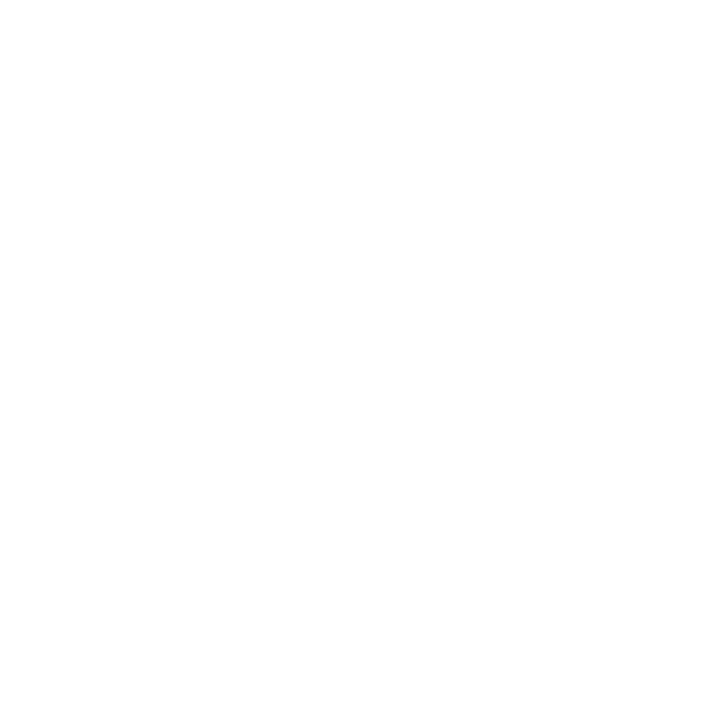 logo nem dong phu 2
