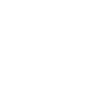 su menh nem dong phu 3