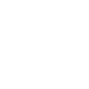 tam nhin nem dong phu 2