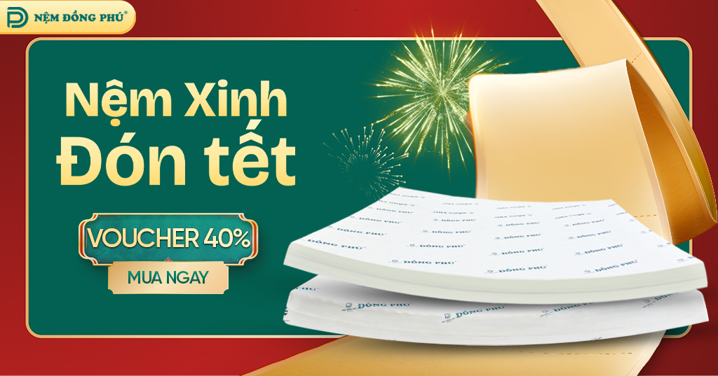 banner nem dong phu tet