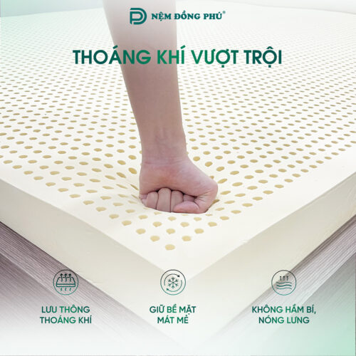 nem cao su thien nhien dong phu 2