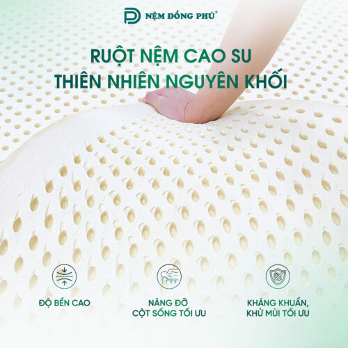 nem cao su thien nhien dong phu 4