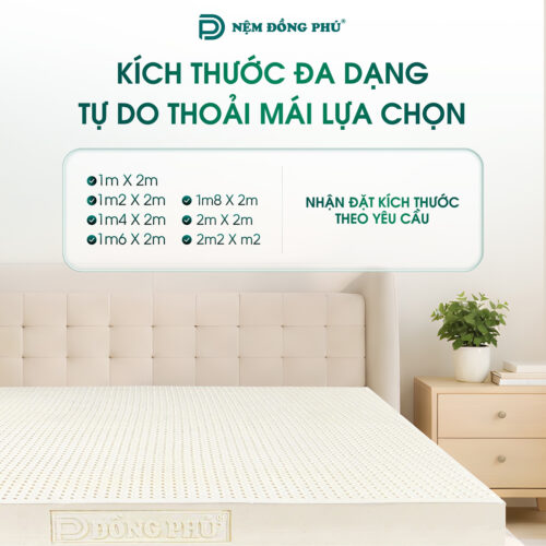 nem cao su thien nhien dong phu 5