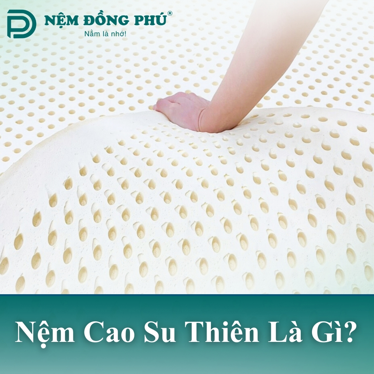 Nệm cao su thiên nhiên là gì?