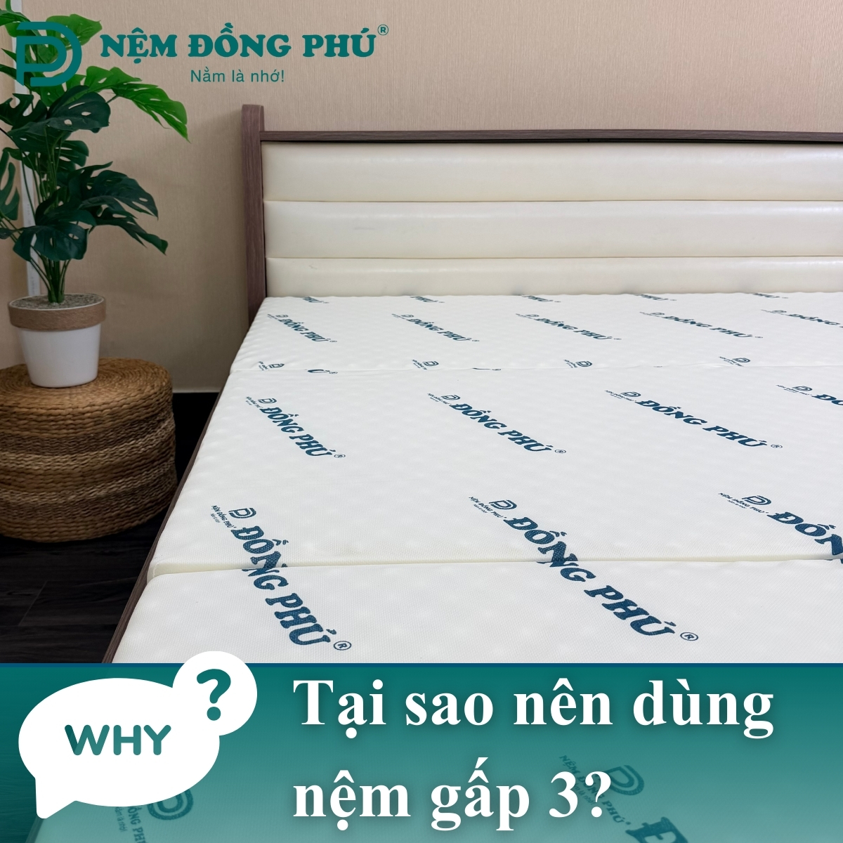 Nệm gấp 3 sở hữu tính linh hoạt, gọn gàng