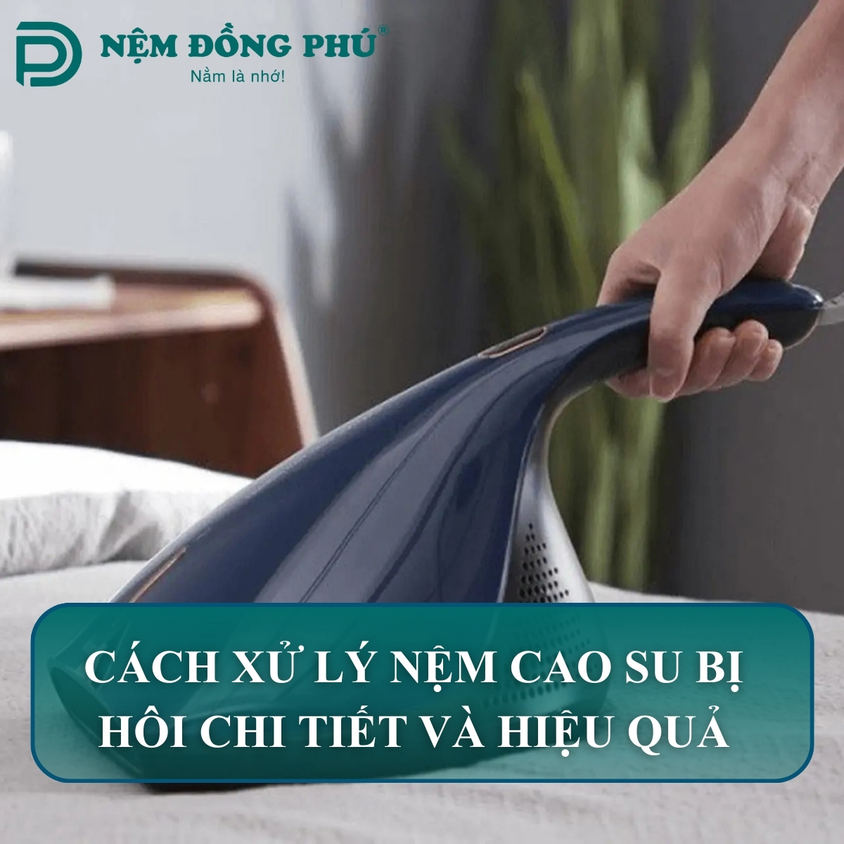 Cách xử lý nệm cao su bị hôi tại nhà hiệu quả