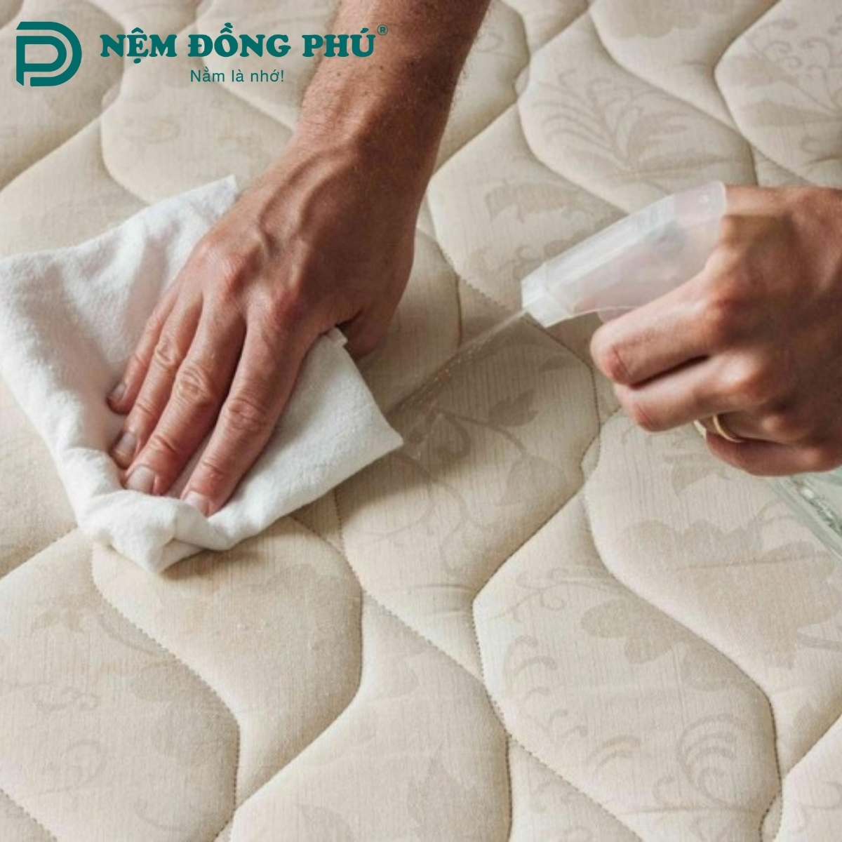 Vệ sinh nệm bị mốc bằng giấm trắng