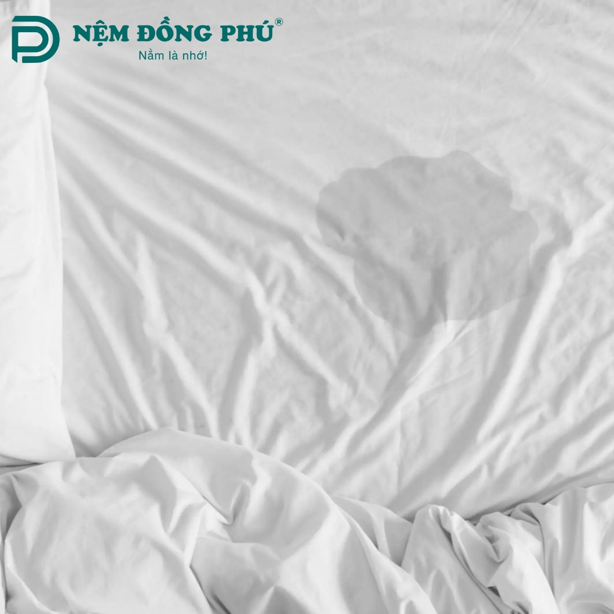 Nguyên nhân chính làm nệm cao su bị ướt có thể là do nước tiểu