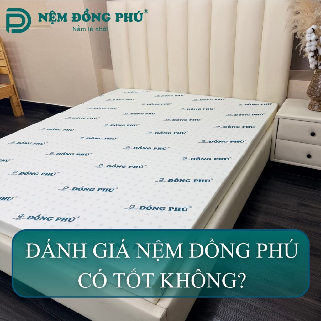 danh gia nem dong phu 1