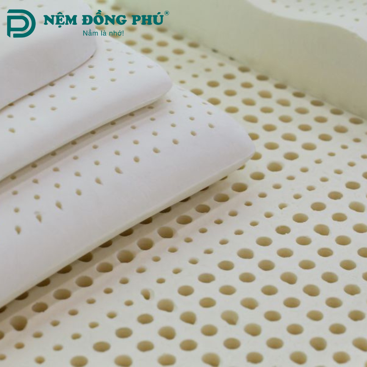 Nệm cao su có thấm nước không?