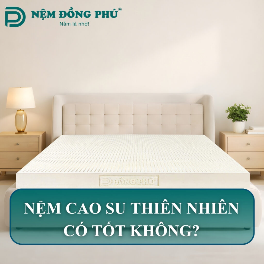nem cao su thien nhien co ben khong
