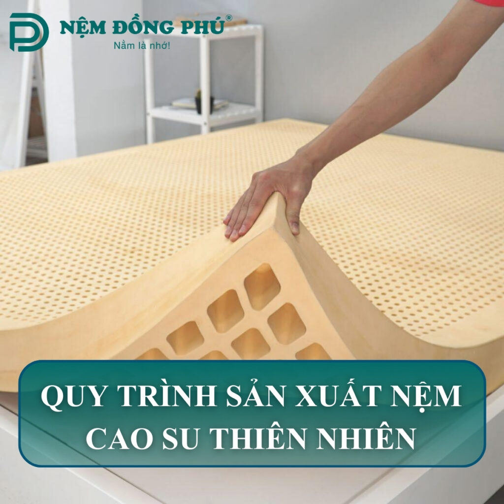 quy trinh san xuat nem cao su thien nhien 10