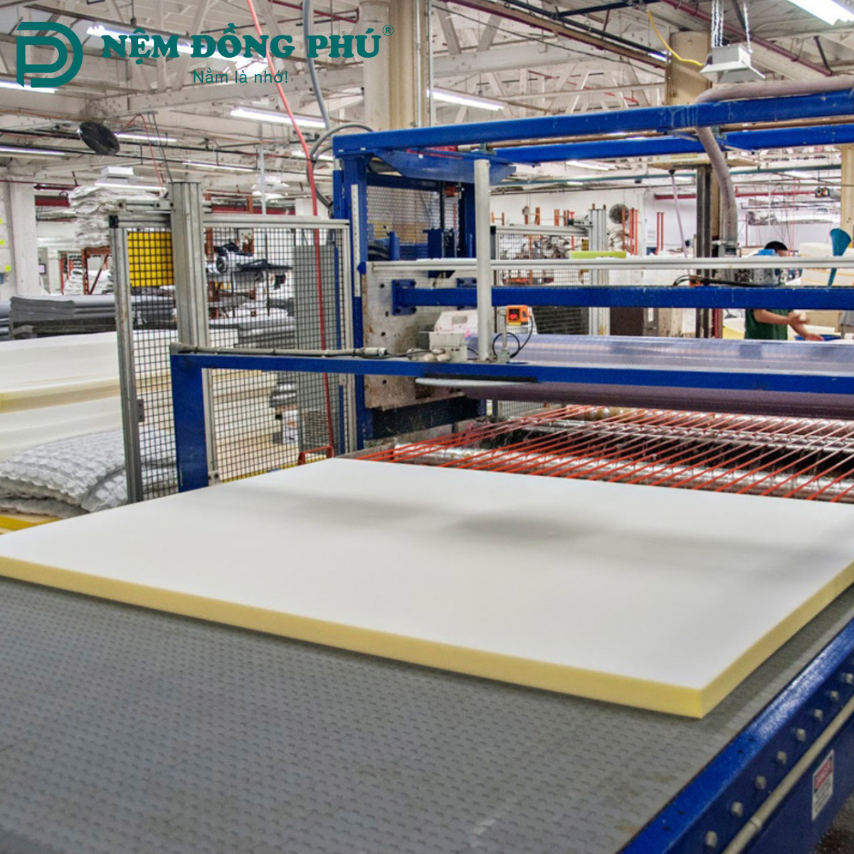 Quy trình sản xuất nệm cao su thiên nhiên đạt chuẩn chất lượng