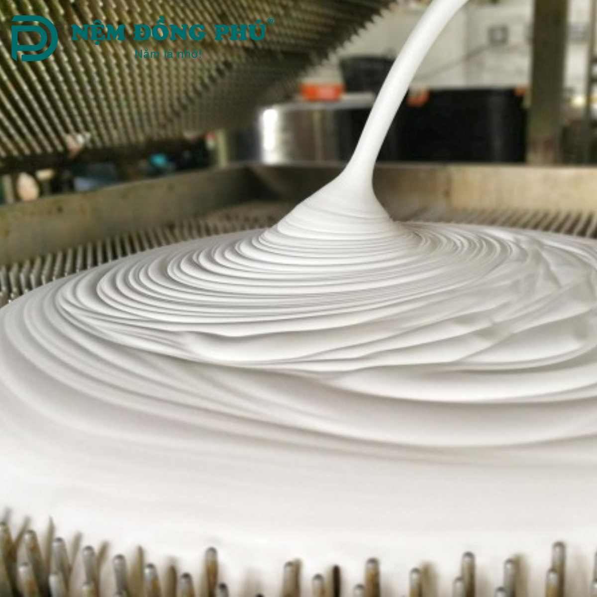 Quy trình đổ khuôn nệm cao su thiên nhiên