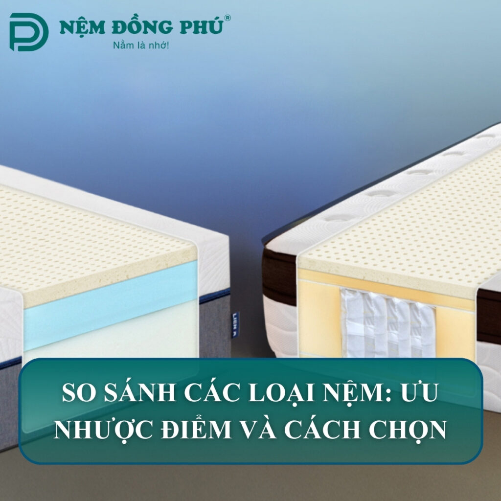 so sanh cac loai nem 1