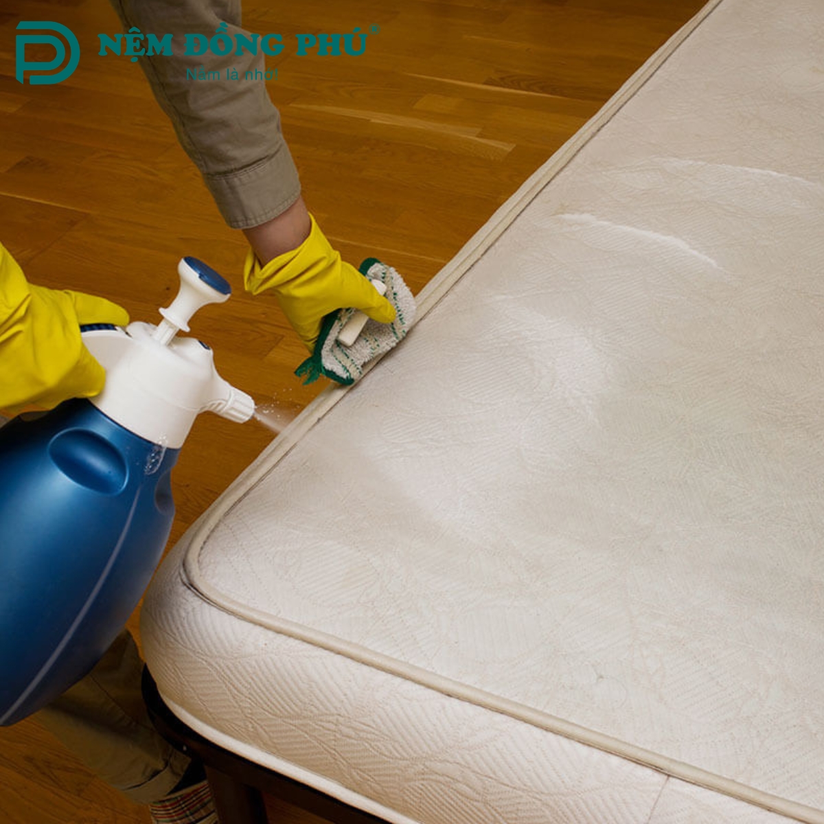 Cách giặt nệm tại nhà đơn giản theo từng bước