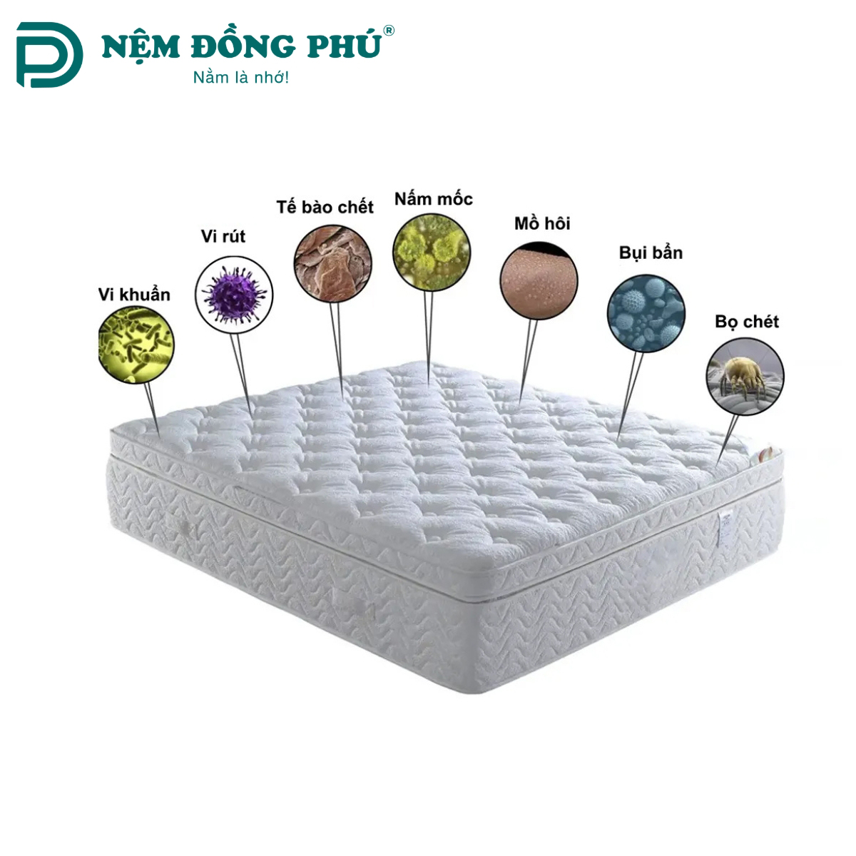 Khi nào tấm nệm nhà bạn cần được giặt?