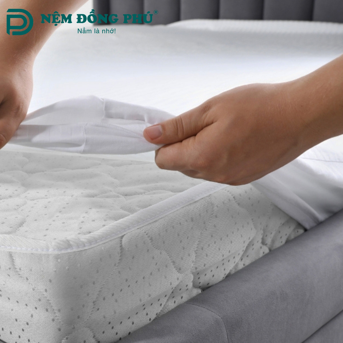 Nên phơi nệm bông ép ở ánh nắng dịu nhẹ Nên phơi nệm bông ép ở ánh nắng dịu nhẹ