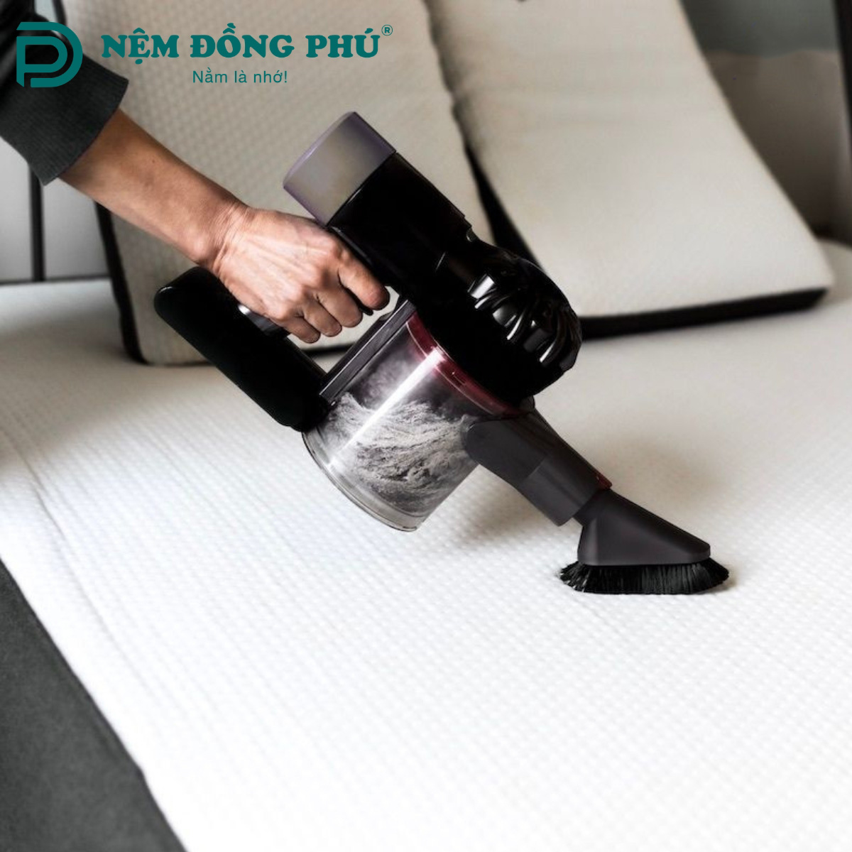 Máy hút là vật dụng hỗ trợ đắc lực khi vệ sinh nệm bông ép Máy hút là vật dụng hỗ trợ đắc lực khi vệ sinh nệm bông ép