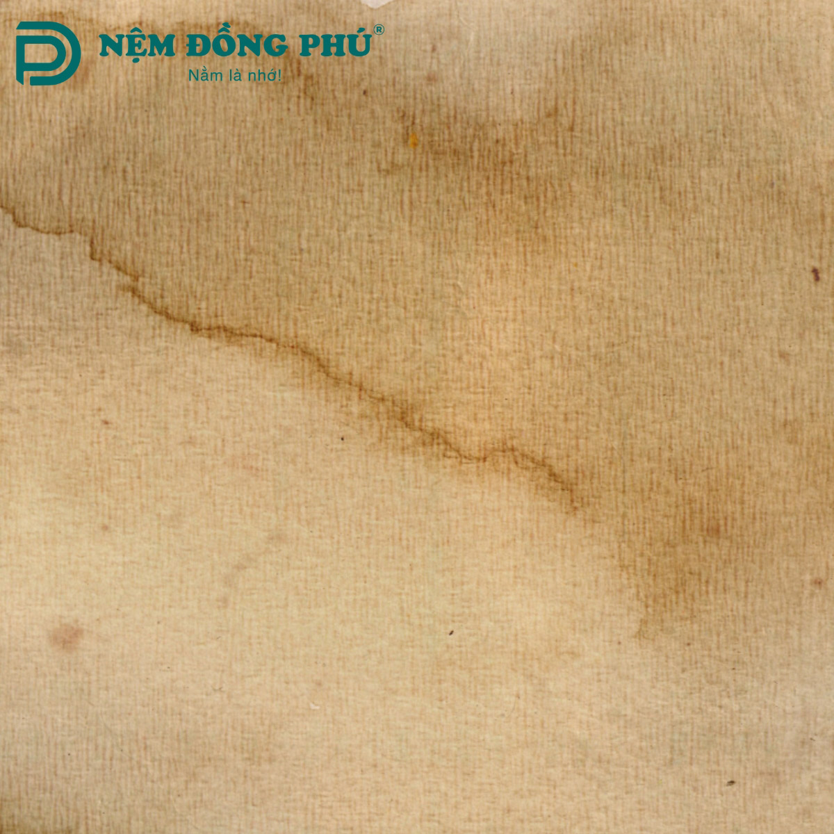 Các nguyên nhân gây ra tình trạng nệm nhà bạn bị ố vàng