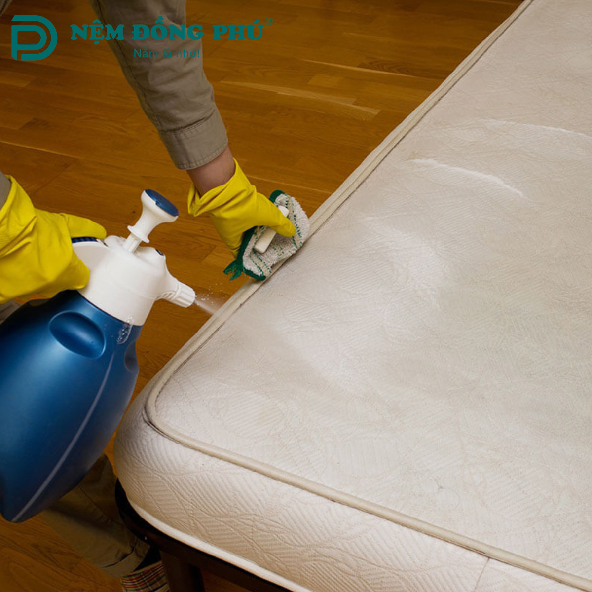 Dùng dung dịch vệ sinh cho nệm chuyên dụng