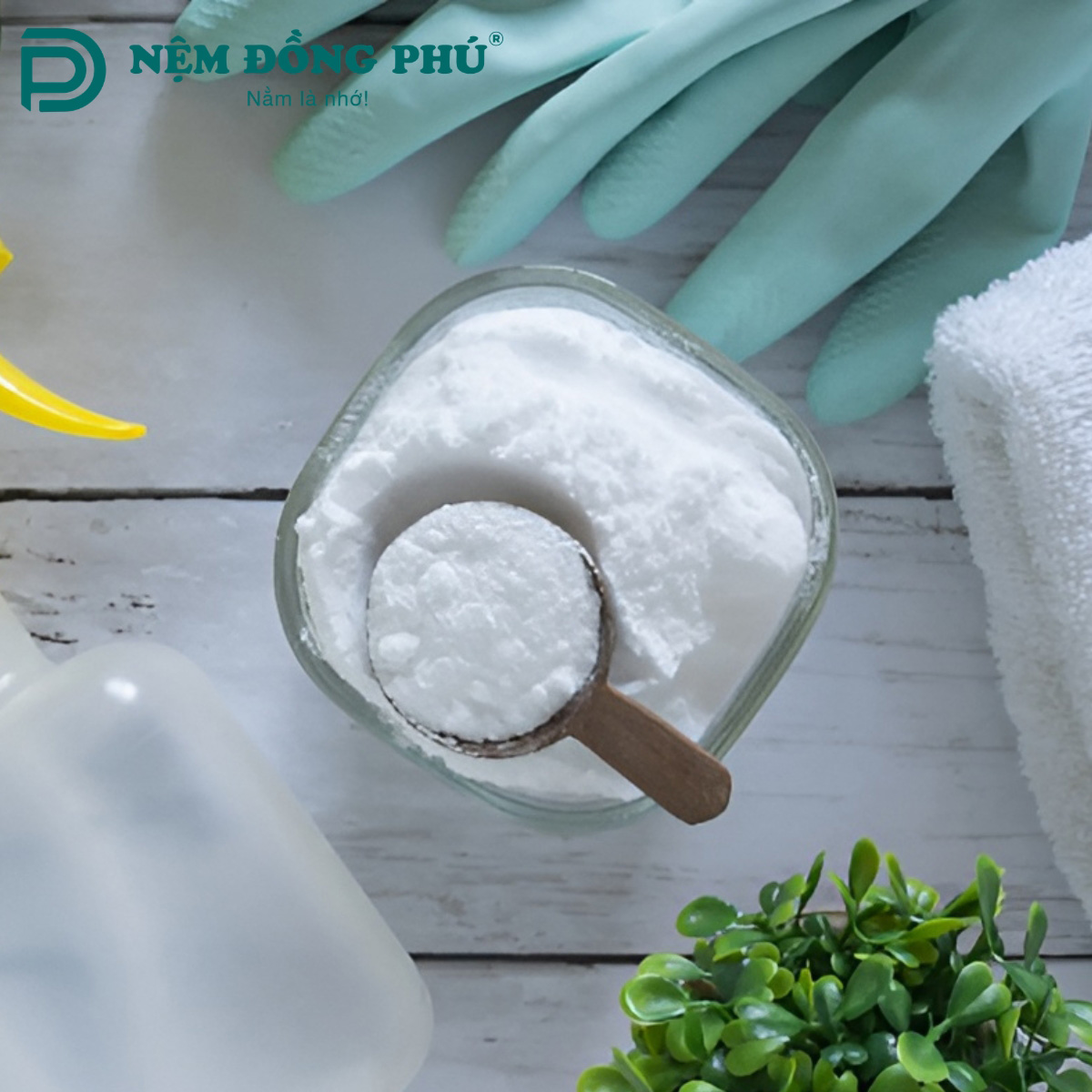 Chúng ta cần chuẩn bị những dụng cụ này để vệ sinh nệm cao su