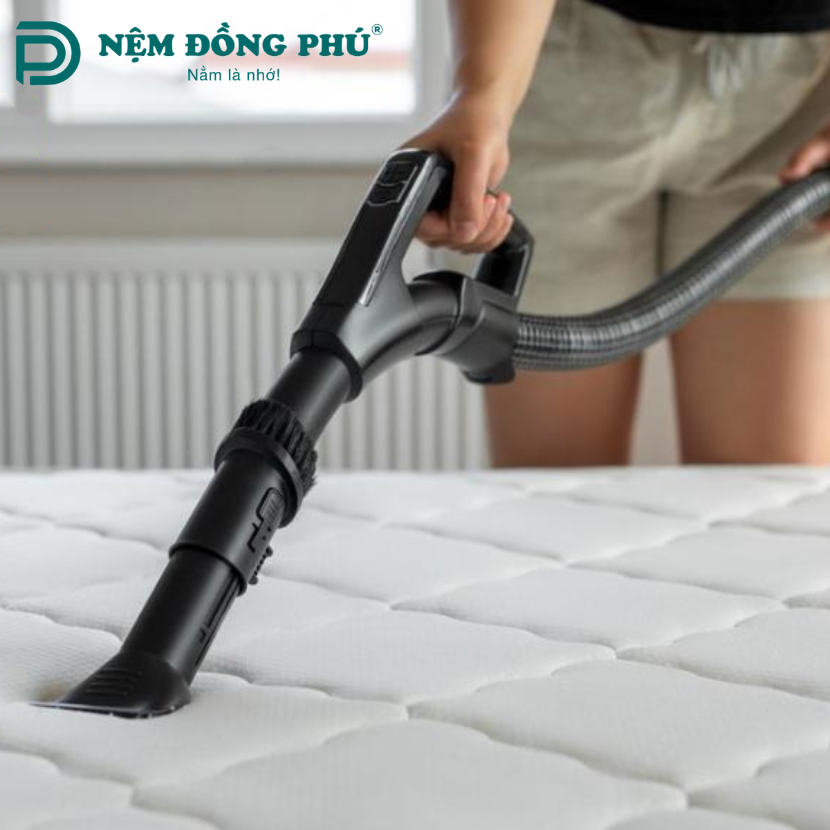 Cách vệ sinh nệm cao su tại nhà đơn giản