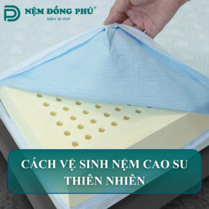 cach ve sinh nem cao su thien nhien