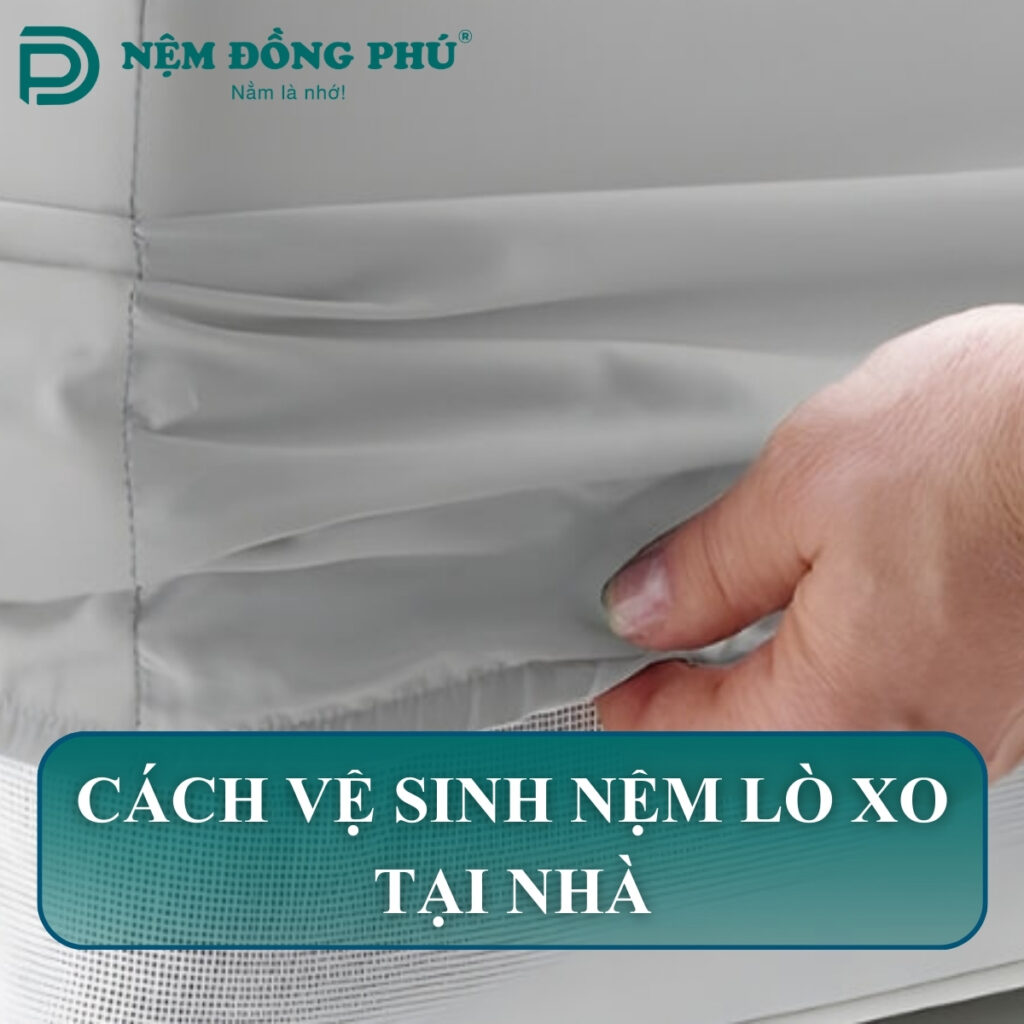 cach ve sinh nem lo xo