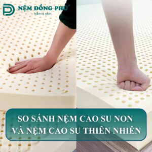 nem cao su non va nem cao su thien nhien 1