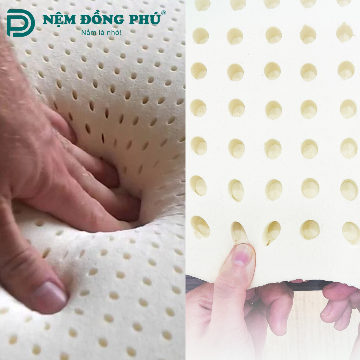 Nệm cao su non và cao su thiên nhiên nên chọn loại nào?