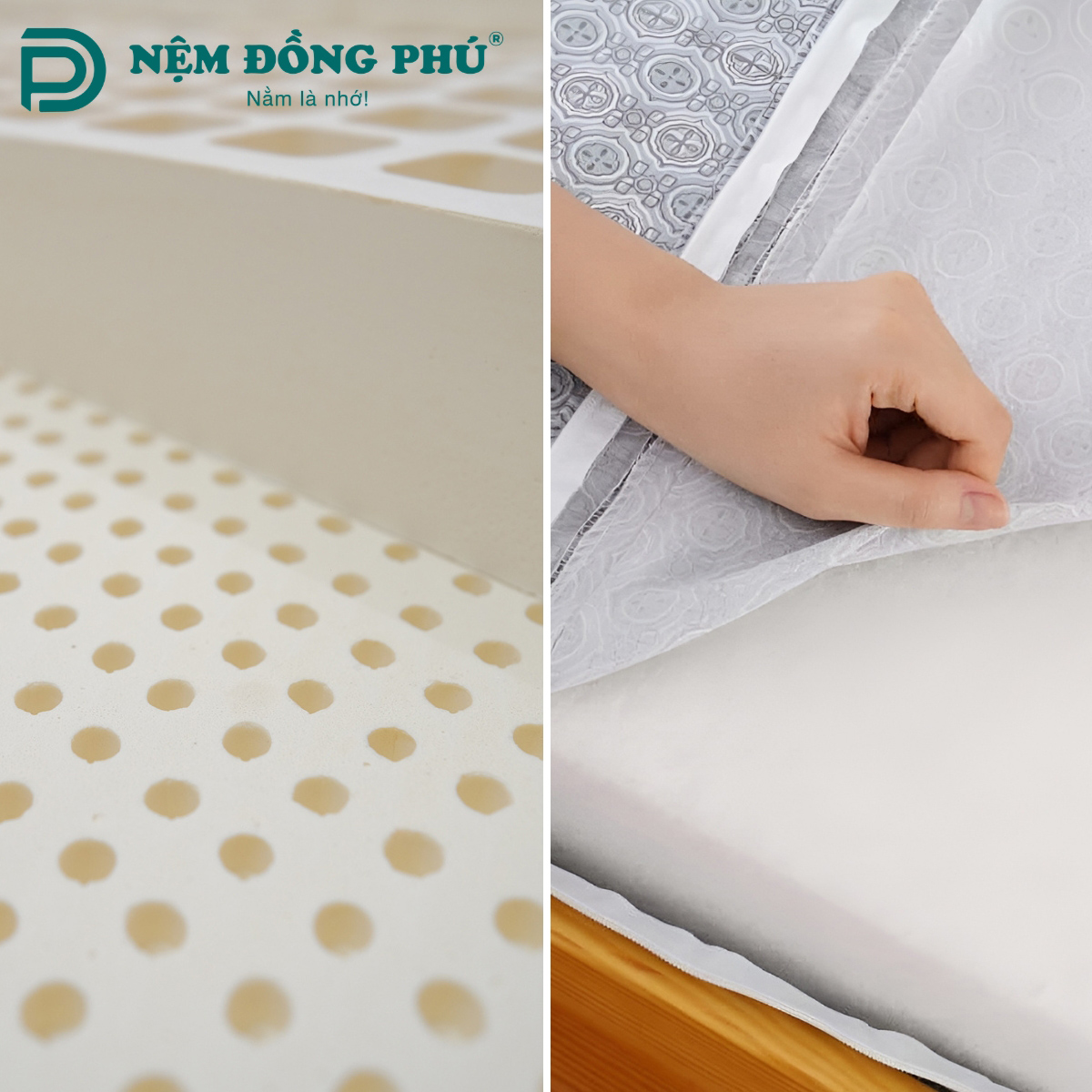 So sánh nệm cao su và nệm bông ép chi tiết