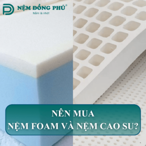 nên mua nệm foam hay cao su