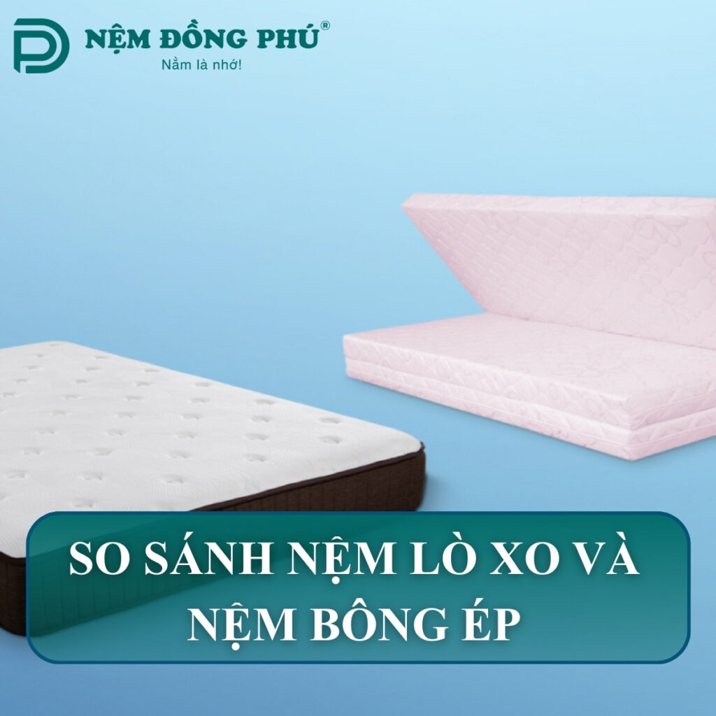 so sanh nem lo xo va nem bong ep