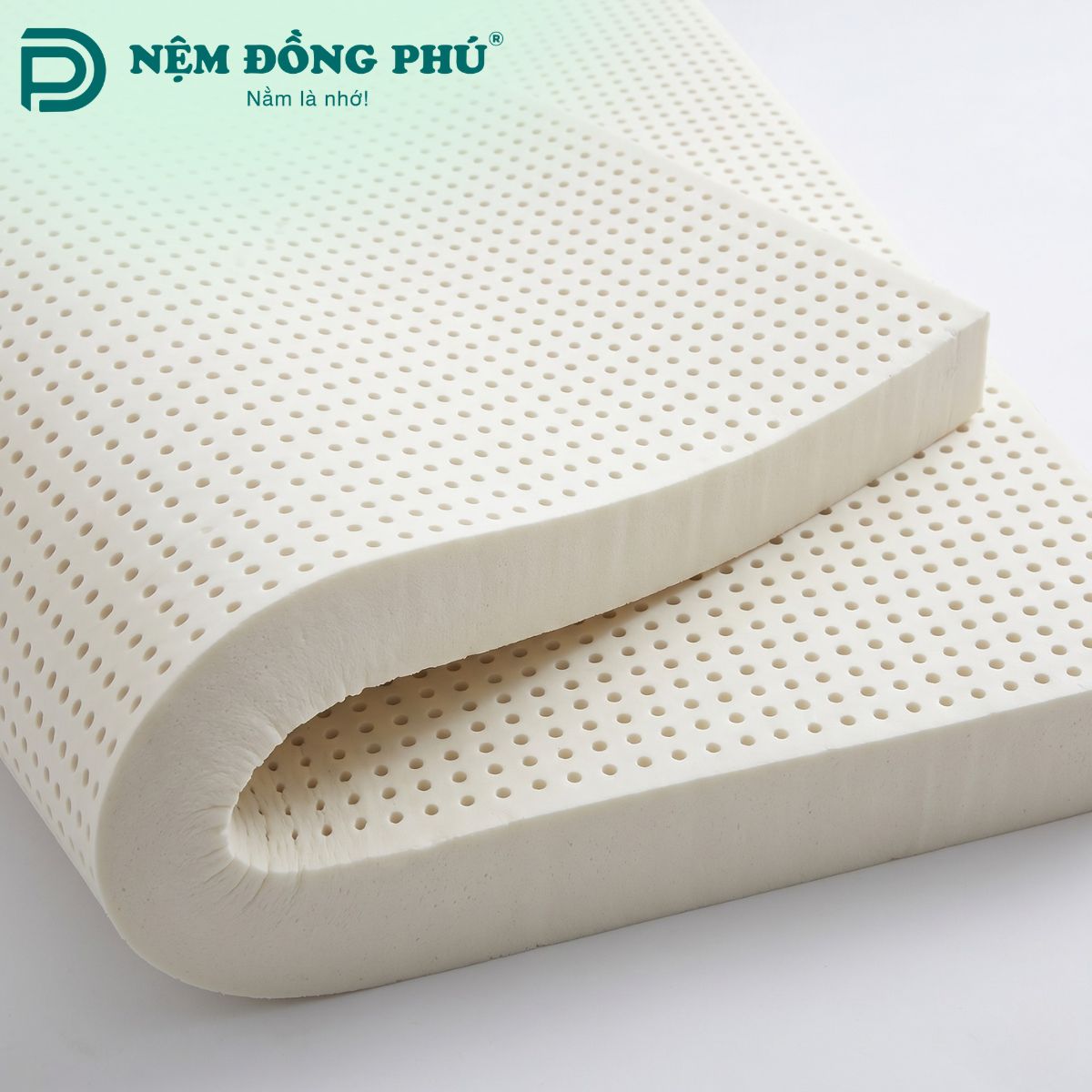 Nệm cao su 20cm là mức độ dày cao nhất hiện có trên thị trường