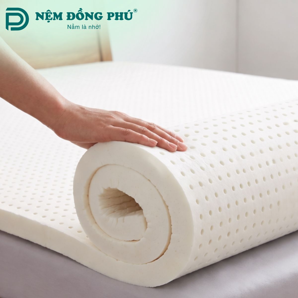 Nệm cao su mỏng (2cm - 5cm)