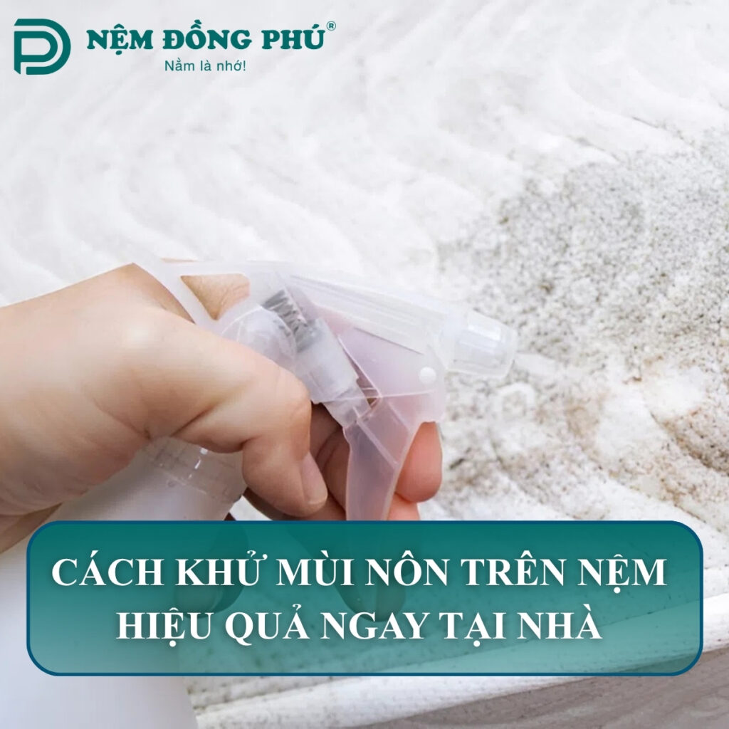 cach khu mui non tren nem 1