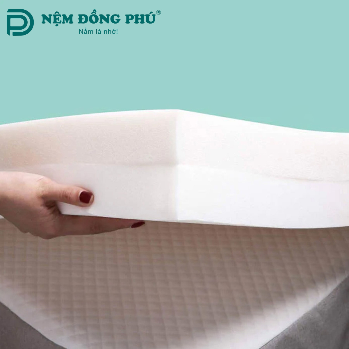 Nệm bông ép là gì?