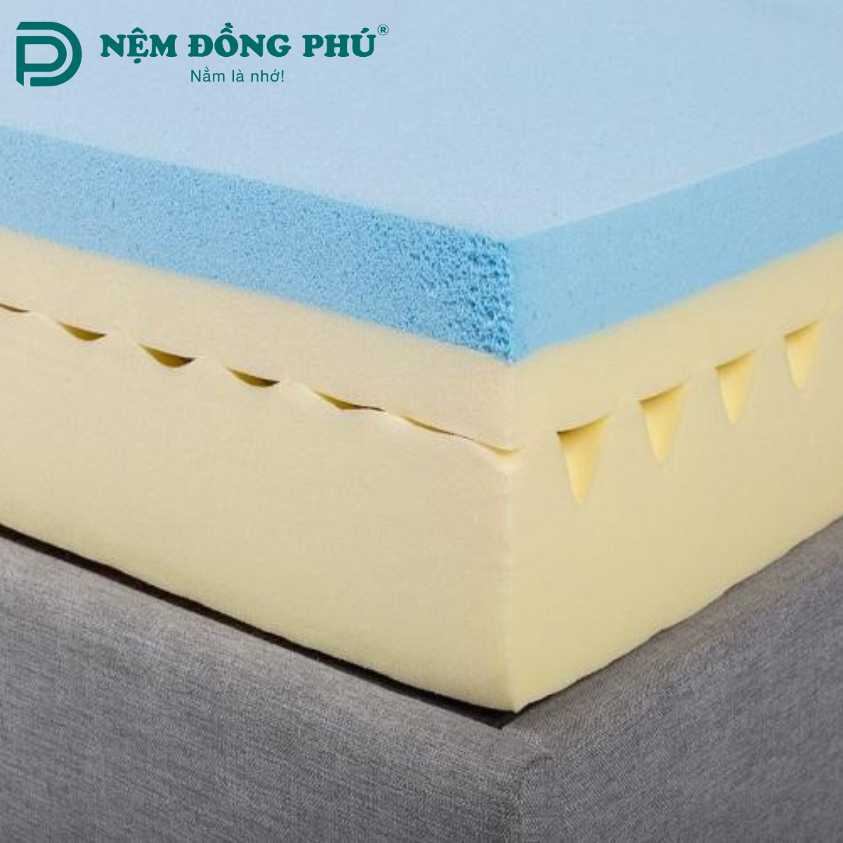Nệm cao su foam là gì?