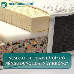 nem cao su foam la gi