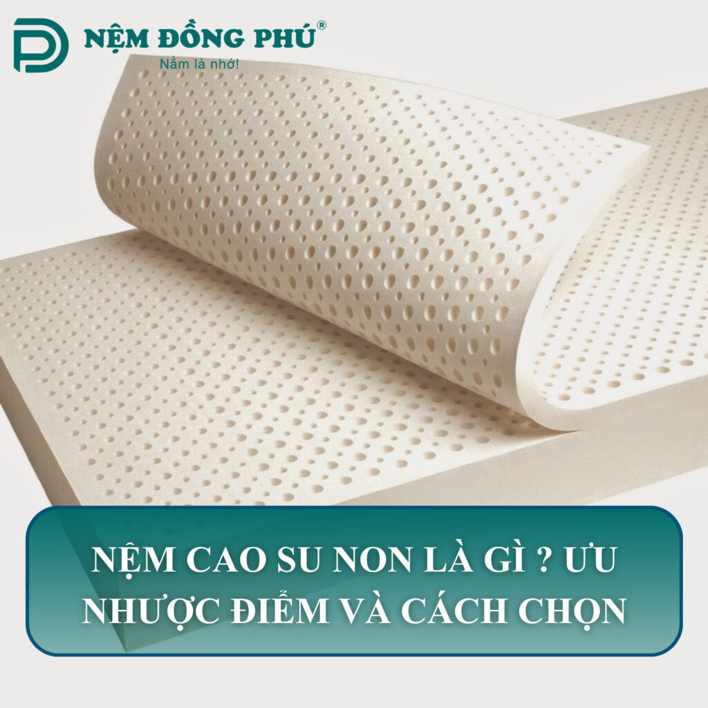 nem cao su non la gi
