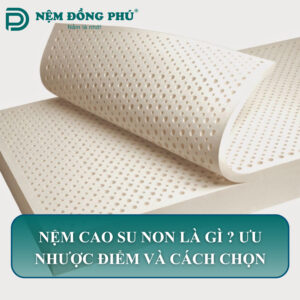 nem cao su non la gi