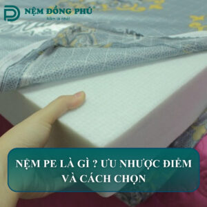 nem pe la gi