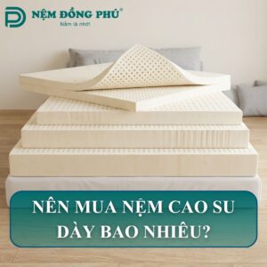nên mua nệm cao su dày bao nhiêu