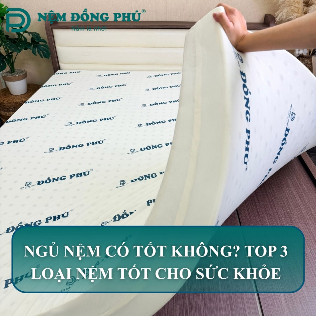 ngu nem co top khong 1