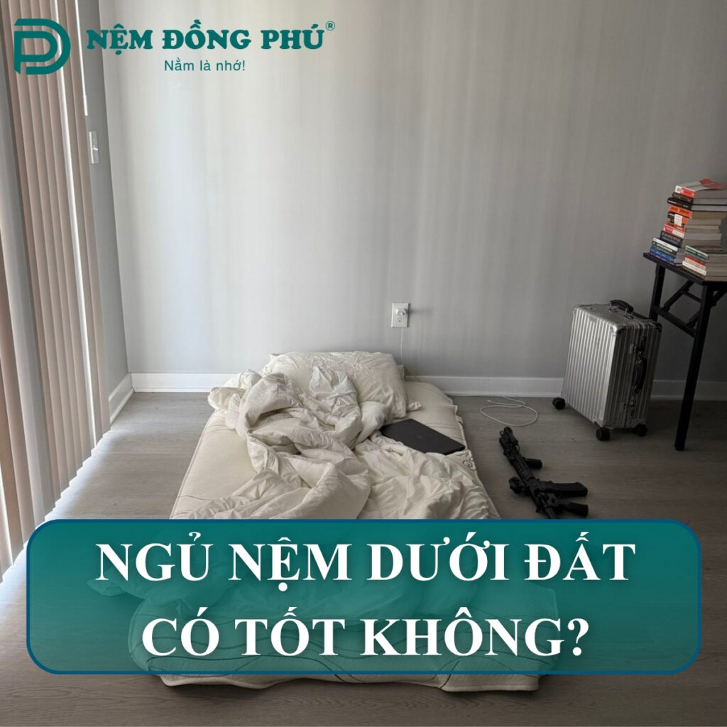 ngu nem duoi dat co tot khong 1