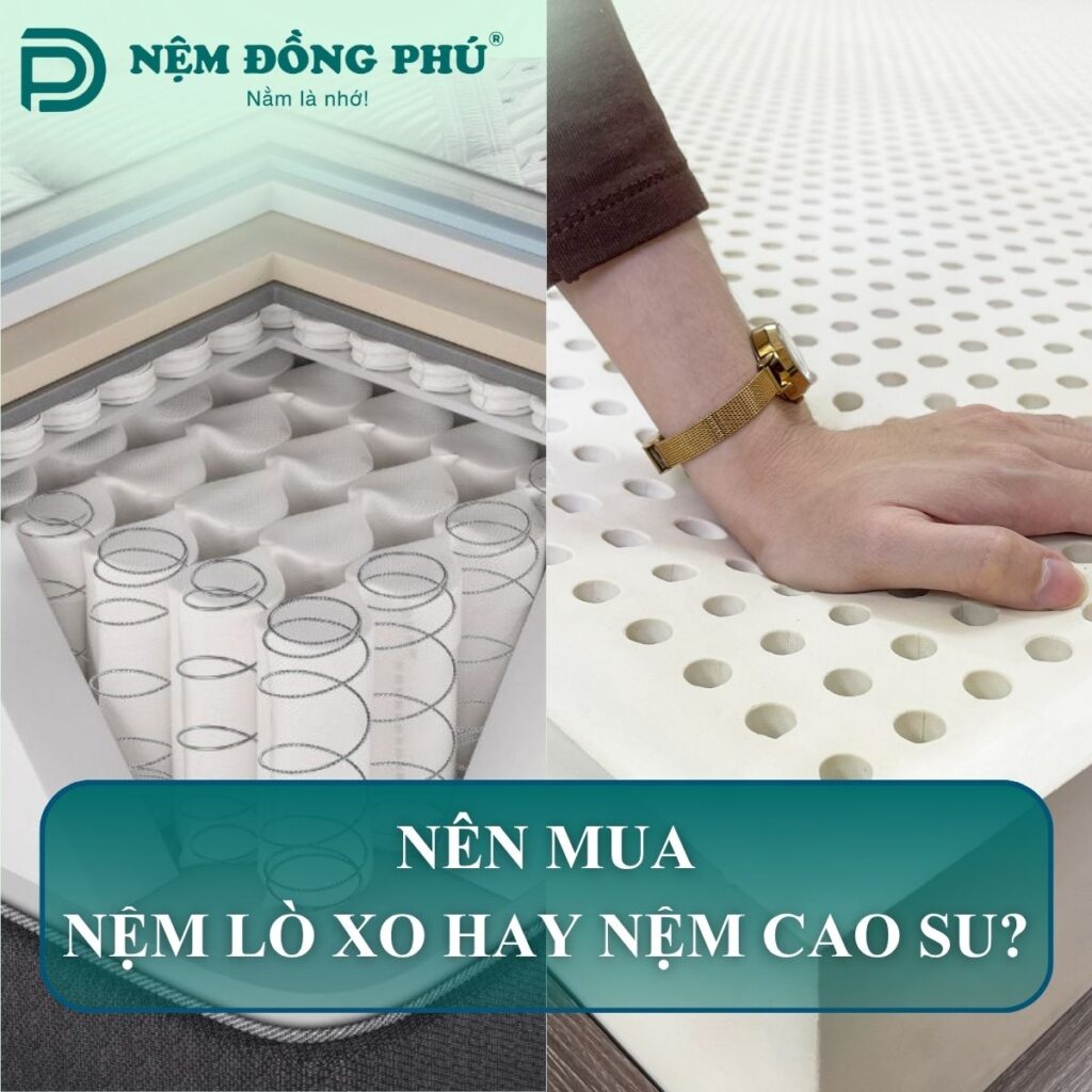 Nên mua nệm lò xo hay nệm cao su, so sánh và chọn mua
