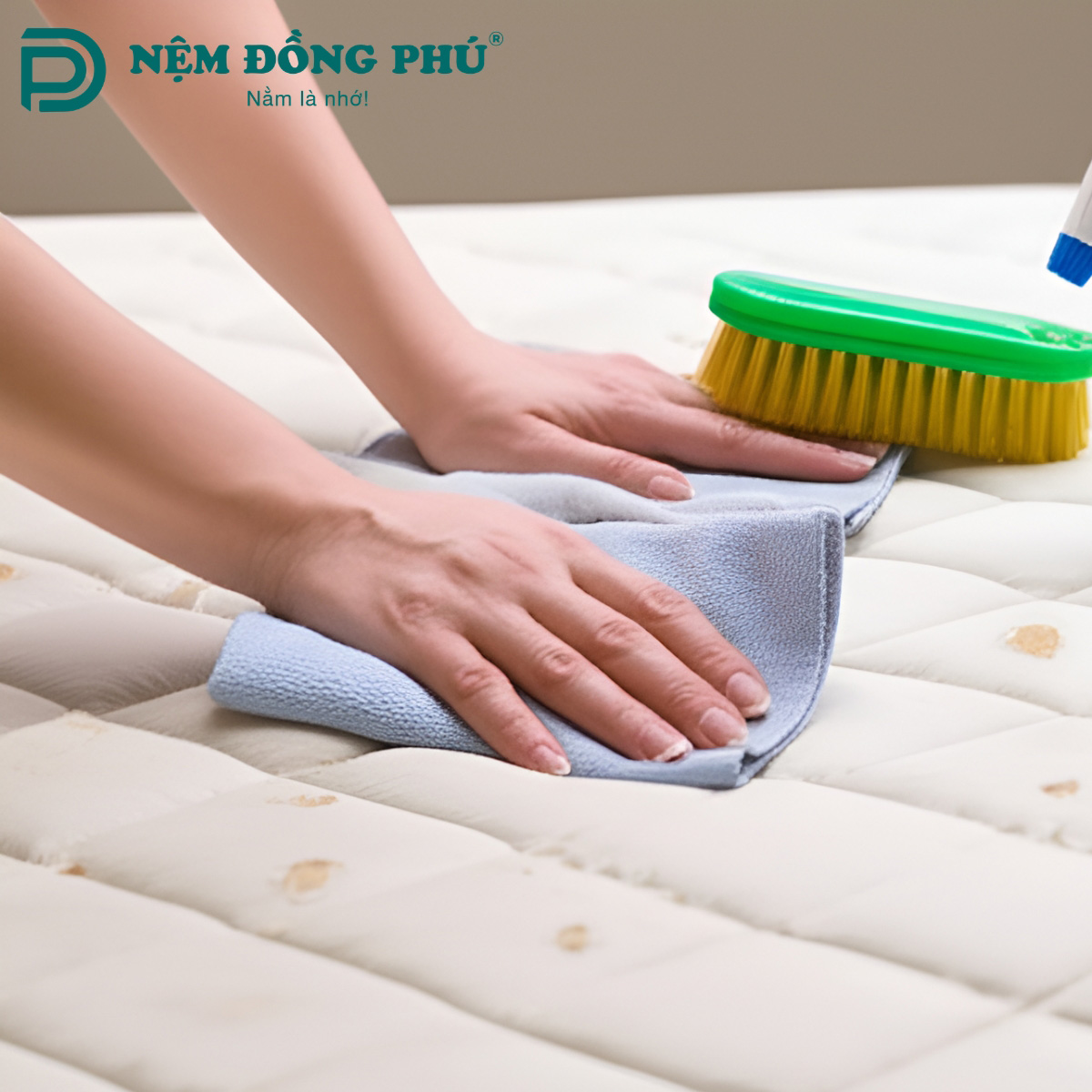 Xử lý kỹ các vết bẩn cứng đầu tỉ mĩ và nhẹ nhàng
