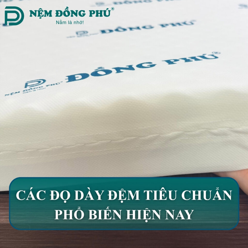 Độ dày đệm tiêu chuẩn