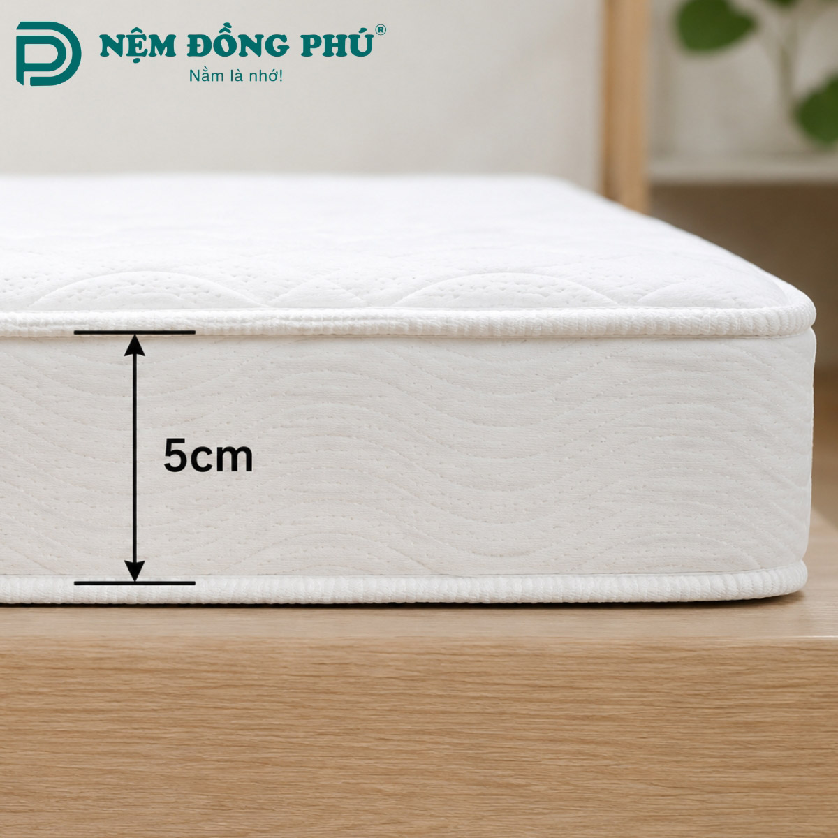 Đệm dày 5cm
